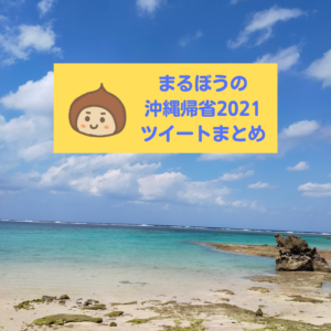 まるぼう帰省ツイートまとめ